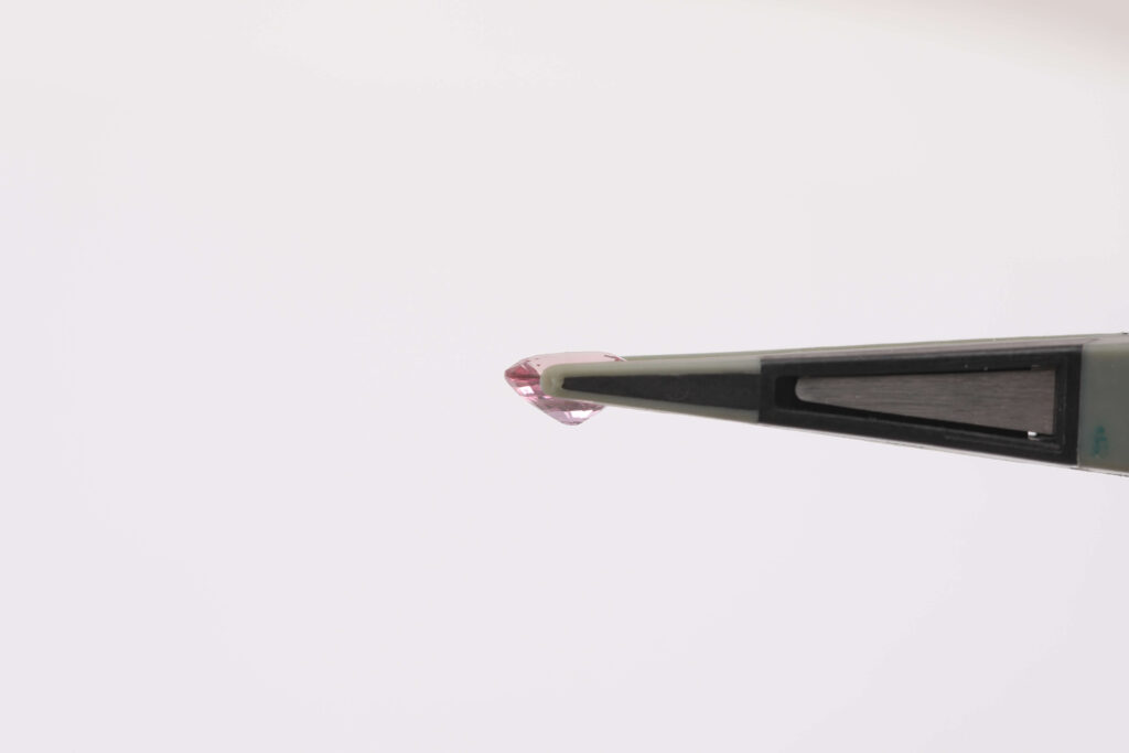 ナチュラルパパラチア